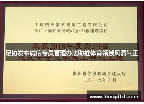 足协发布诚信专员管理办法助推体育领域风清气正