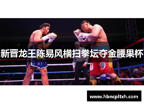 新晋龙王陈易风横扫拳坛夺金腰果杯